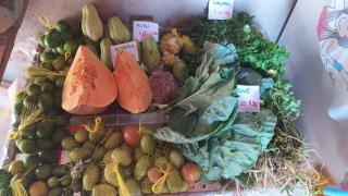 Agricultura_ (6).jpeg