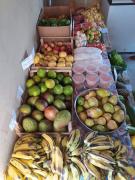 Agricultura_ (7).jpeg