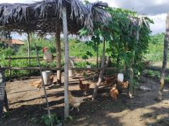 WhatsApp Image 2020-05-04 at 18.35.47 (2).jpeg