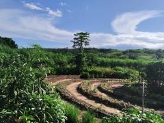 WhatsApp Image 2020-05-04 at 18.35.47 (3).jpeg