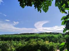 WhatsApp Image 2020-05-04 at 18.35.47.jpeg