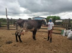 WhatsApp Image 2020-05-06 at 16.28.18.jpeg