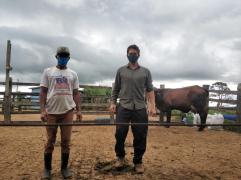 WhatsApp Image 2020-05-06 at 16.28.19.jpeg