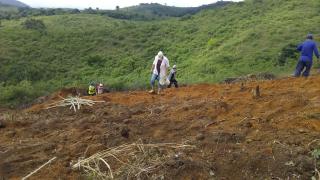 WhatsApp Image 2020-05-20 at 11.42.34.jpeg