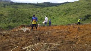 WhatsApp Image 2020-05-20 at 11.42.54.jpeg