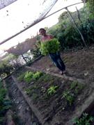 Agricultura Familiar2.jpeg