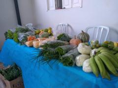 Agricultura Familiar3.jpeg