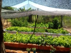 Agricultura Familiar6.jpeg