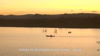 WhatsApp Image 2020-06-04 at 10.53.28 (1).jpeg