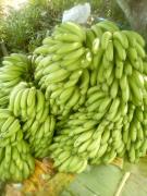 WhatsApp Image 2020-06-18 at 10.52.08.jpeg