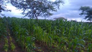 WhatsApp Image 2020-06-18 at 11.05.15.jpeg