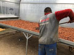 WhatsApp Image 2020-06-19 at 16.35.58 (1).jpeg