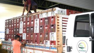 WhatsApp Image 2020-07-16 at 15.24.47 (2).jpeg