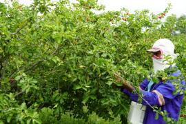 WhatsApp Image 2020-07-16 at 15.24.47 (3).jpeg