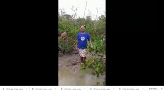 WhatsApp Image 2020-07-28 at 15.12.04.jpeg