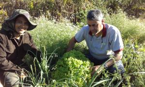Visita Técnica na Propriedade de Ivanete Brito, do Jacaré em Barro Alto.jpg