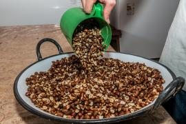 WhatsApp Image 2020-07-24 at 17.34.43.jpeg