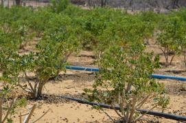 WhatsApp Image 2020-08-06 at 14.25.25 (1).jpeg