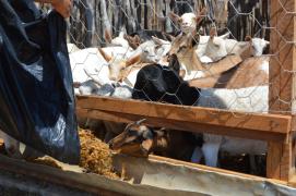 WhatsApp Image 2020-08-06 at 14.25.25.jpeg