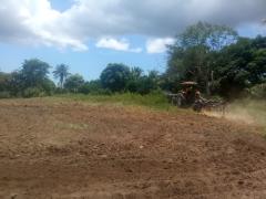 WhatsApp Image 2020-08-10 at 14.15.04.jpeg