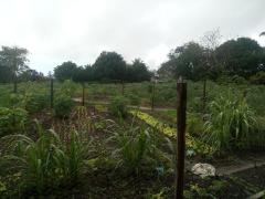 WhatsApp Image 2020-08-10 at 14.15.05 (2).jpeg