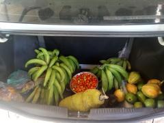 WhatsApp Image 2020-08-10 at 14.15.06 (1).jpeg