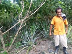 WhatsApp Image 2020-08-10 at 14.15.06 (3).jpeg