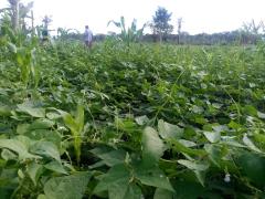 WhatsApp Image 2020-08-10 at 14.15.06 (4).jpeg