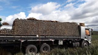 WhatsApp Image 2020-08-17 at 17.32.03.jpeg