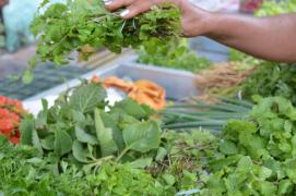 WhatsApp Image 2020-08-25 at 15.31.22.jpeg