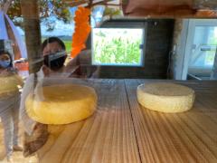 WhatsApp Image 2020-08-28 at 17.04.21.jpeg