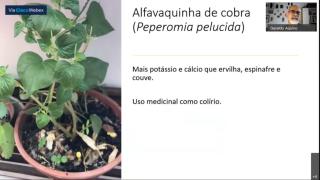 WhatsApp Image 2020-09-03 at 16.47.14.jpeg