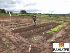 WhatsApp Image 2020-09-04 at 13.49.31.jpeg