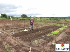 WhatsApp Image 2020-09-04 at 13.49.32.jpeg