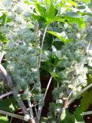 WhatsApp Image 2020-09-09 at 17.44.34 (1).jpeg