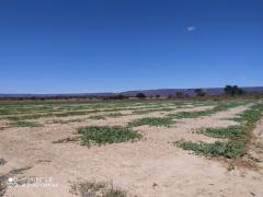 WhatsApp Image 2020-09-11 at 14.21.23.jpeg