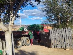 WhatsApp Image 2020-09-14 at 17.20.12 (1).jpeg