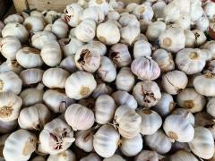 WhatsApp Image 2020-09-17 at 14.00.11 (1).jpeg