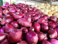 WhatsApp Image 2020-09-17 at 14.00.11.jpeg