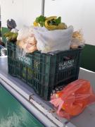 WhatsApp Image 2020-09-25 at 13.35.37.jpeg