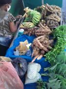 WhatsApp Image 2020-09-25 at 13.35.39.jpeg