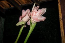 WhatsApp Image 2020-10-02 at 16.17.05.jpeg