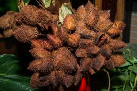 WhatsApp Image 2020-10-02 at 16.17.17.jpeg