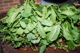 WhatsApp Image 2020-10-02 at 16.17.22.jpeg