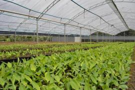 WhatsApp Image 2020-10-09 at 16.36.53 (2).jpeg