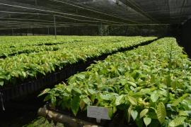 WhatsApp Image 2020-10-09 at 16.36.53.jpeg