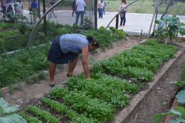 WhatsApp Image 2020-10-16 at 00.49.08.jpeg