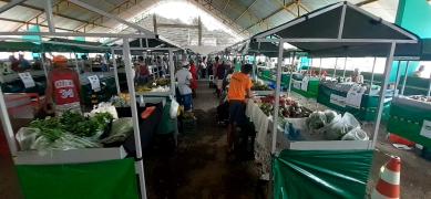 WhatsApp Image 2020-10-17 at 10.48.43.jpeg