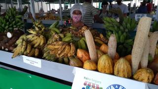 WhatsApp Image 2020-10-17 at 10.49.08.jpeg