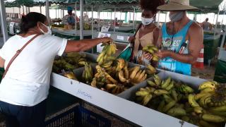 WhatsApp Image 2020-10-17 at 10.53.54.jpeg